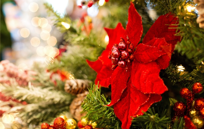 Calendario Astrológico de diciembre