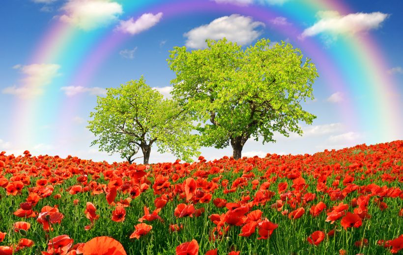 Calendario Astrológico de julio